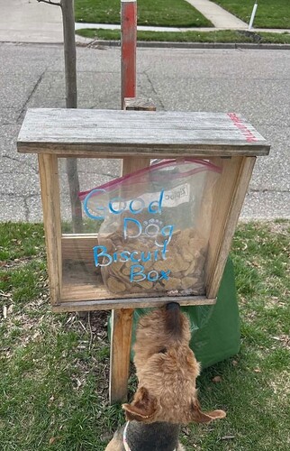 Screenshot_20260404_160339_Messenger